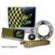 Regina, řetězová sada, Yamaha MT-125 (15-20), YZF-R 125 (08-20) (14/48/132/428ORT2) řetěz do 250ccm, zlatý (O-RING)