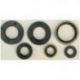 Winderosa (Vertex), sada gufer motoru, KTM SX 65 98-08, XC 65 08