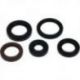 Winderosa (Vertex), sada gufer motoru, Polaris PHOENIX 200 05-21, RZR 170 09-20, SAWTOOTH 200 06-