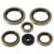 Winderosa (Vertex), sada gufer motoru, Gas-Gas MC125 21, Husqvarna TC 125 16-21, TE 150 17-19, TE