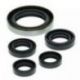 Winderosa (Vertex), sada gufer motoru, Polaris Outlaw 500 06-07, Predator 500 03-07