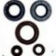 Winderosa, sada gufer motoru, Can-Am OUTLANDER DPS 450 EFI 15-20, OUTLANDER MAX DPS 450
