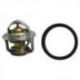 All Balls, termostat chladiče, Polaris ACE 500 '17-'19, ACE 570 '15-'19, ACE 570 EU '15-'18, ACE 570 HD '15-'19, Ranger 1
