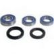 All Balls, sada ložisek a gufer zadního kola, BMW F 750GS '19, F 850GS '19, F 900R/XR '20