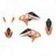 Blackbird, sada polepů, Beta RR 4T '10-'12, Dream 4