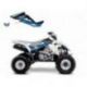 Blackbird, sada polepů, Suzuki LT-Z400 '03-'10 Dream 2