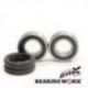 Bearing Worx, ložiska a gufera předního kola, Yamaha FZ / FZS / TDM / FJR / R1 / R6, Suzuki GSX-R / GSX-S (25-1403)