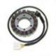Electrosport, stator alternátoru, Honda RVT 1000R (00-06)