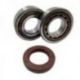 Bearing Worx, ložiska klikovky, KTM SX/EXC 400/450/520/525 (MADE IN JAPAN) (NTN) (24-1106)