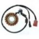 Electrosport, stator alternátoru, Aprilia SCARABEO 400/500 '06-'13, Piaggio 400/500 MP3 '07-'13