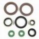 Bearing Worx, sada gufer motoru (822248)