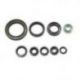 Bearing Worx, sada gufer motoru (822357)