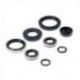 Bearing Worx, sada gufer motoru (822264)