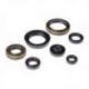 Bearing Worx, sada gufer motoru (822266)