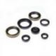 Bearing Worx, sada gufer motoru (822317)