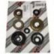 Bearing Worx, sada gufer motoru (822155)
