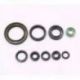 Bearing Worx, sada gufer motoru (822228)