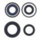Athena, sada gufer motoru, Peugeot BUXY 50 '94-'98, ELYSTAR 50 '03-'05, LOOXOR 50 '01-'03, LUDIX