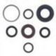 Athena, sada gufer motoru, Yamaha NXC 125X CYGNUS '04-'10, YW 125 BWS '10-'11