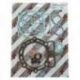 Bearing Worx, horní sada těsnění Top-End, KTM SXF 450 '03-'06, SXF/EXCF 520/525 '00-'06, XC 525 (810318)