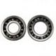 Bearing Worx, ložiska a gufera klikovky, Kawasaki KLX 125/125L '03-'06 (NTN) (MADE IN JAPAN) (24-1036)