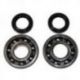 Bearing Worx, ložiska a gufera klikovky, Kawasaki KDX 200 '91-'06, KDX 220 '97-'05 (NTN) (MADE IN JAPAN) (24-1045)