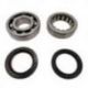 Bearing Worx, ložiska a gufera klikovky, Honda CRF 450R '02-'05 (NTN) (MADE IN JAPAN) (K019)