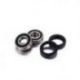 Factory Links, ložiska a gufera předního kola, Kawasaki ER-6 / VN / ZX / KLE, TRIUMPH (25-1389)