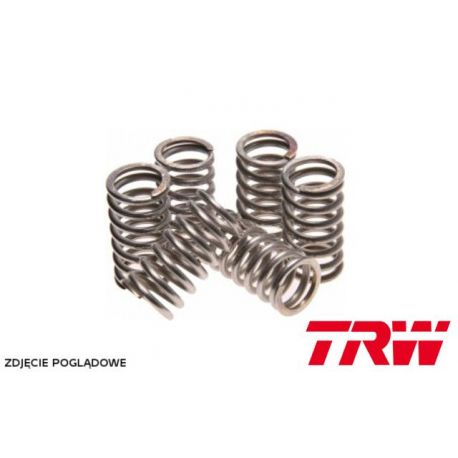 TRW, spojkové pružiny, Kawasaki KX 80 98-00, KX 85 01-20, KX 100 98-09, BN 125 ELIMINATOR 97-07, Honda CG 125 85-08, NX 1