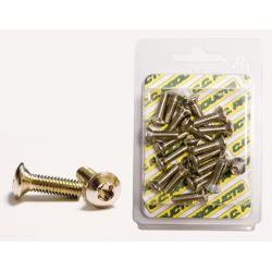 CC, šrouby brzdového kotouče, s osazením M6/18mm (20ks.) TORX T-30 10,9 HRC (1083-11)