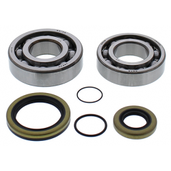 All Balls, ložiska a gufera klikovky, GAS-GAS EC 200/250/300 08-19, ENDURO GP 250/300 18, XC 200/250/300 18-19