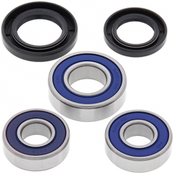 All Balls, sada ložisek a gufer zadního kola, Kawasaki KD125 75-79, KD175 76-79, KE125 76-84, KX125 74-76, Yamaha YZF R15 11-