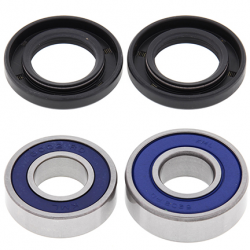 All Balls, sada ložisek a gufer zadního kola, Suzuki RM 80/85 '90-'16, Yamaha YZ 80/85 '93-'19, YZ65 '18-'19