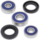 All Balls, sada ložisek a gufer zadního kola, Kawasaki KDX80 80-83, KE100 76-01, KX80 79-82, Suzuki TM75 74-76, TS75 75-77