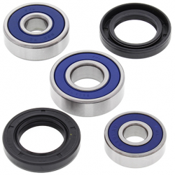 All Balls, sada ložisek a gufer zadního kola, Kawasaki KDX80 80-83, KE100 76-01, KX80 79-82, Suzuki TM75 74-76, TS75 75-77