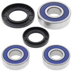All Balls, sada ložisek a gufer zadního kola, Suzuki GSF 1200 '97-'05, GSF 600 '96-'03, SVF 650 (09), SV 650 '03-'09