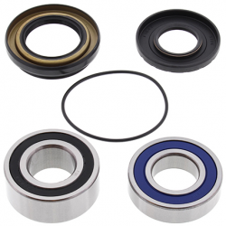 All Balls, sada ložisek a gufer zadního kola, Suzuki LTF 250 OZARK '02-'13, LTZ 250 '04-'09