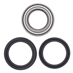 All Balls, sada ložisek a gufer zadního kola, Suzuki LTA 700/750 KING QUAD '05-'18, LTA 450/500 '07-'18