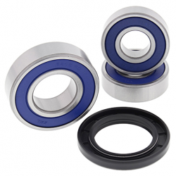 All Balls, sada ložisek a gufer zadního kola, Suzuki RG125 92-94