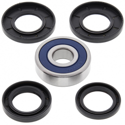 All Balls, sada ložisek a gufer zadního kola, CF-MOTO CF GLORY, CF150T CHARM, CFE JEWEL, Honda CN250 86-07, NSS250 01-07, PCX