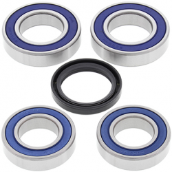 All Balls, sada ložisek a gufer zadního kola, DUCATI MONSTER 620/696/695 ST2, ST3, ST4