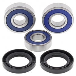 All Balls, sada ložisek a gufer zadního kola, Honda CBR250/300R '11-'16, CB300F '15-'16