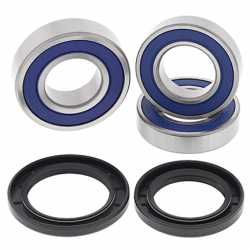 All Balls, sada ložisek a gufer zadního kola, BMW HP4 '13-'14, S 1000RR '10-'13, S 1000RR/R '14-'15, S 1000XR '15-'16