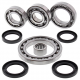 All Balls, opravná sada zadního diferenciálu, Suzuki LT-A500F QUAD MASTER (01), LT-F500F '01-'02