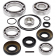 All Balls, opravná sada zadního diferenciálu, Kawasaki BRUTE FORCE KVF650 '06-'13, KVF750 '05-'15
