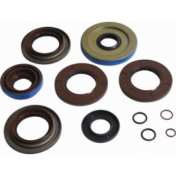 All Balls, těsnící sada zadního diferenciálu, Polaris RANGER 1000 DIESEL 16-17, RANGER 1000 DIESEL EU 16, RANGER 570 EU 16, RANG