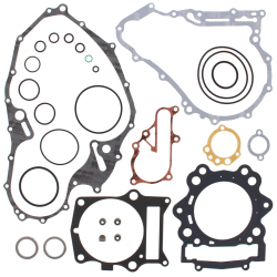 Winderosa (Vertex), sada těsnění motoru, Yamaha YFM 700 RAPTOR (06-14)