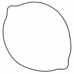 Winderosa (Vertex), těsnění víka spojky, Suzuki RM 250 96-09 (S410510008094) (ORING) (vnější)
