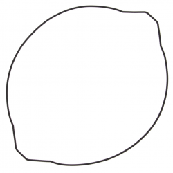 Winderosa (Vertex), těsnění víka spojky, Yamaha YZ 250 99-19 (ORING) (vnější)