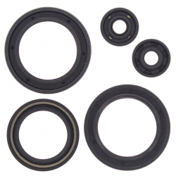 Winderosa (Vertex), sada gufer motoru, Polaris 350/400 93-02